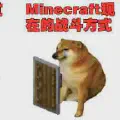 我的世界1.8.9