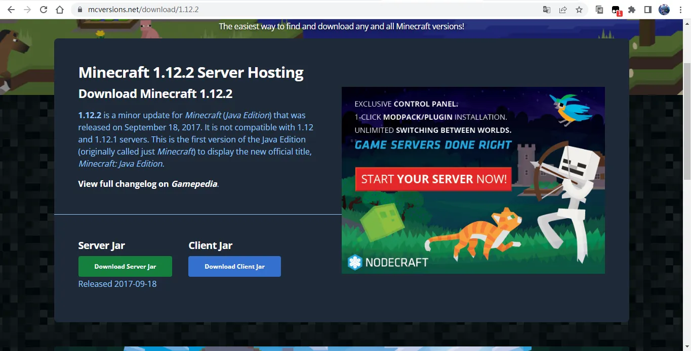 Download Server