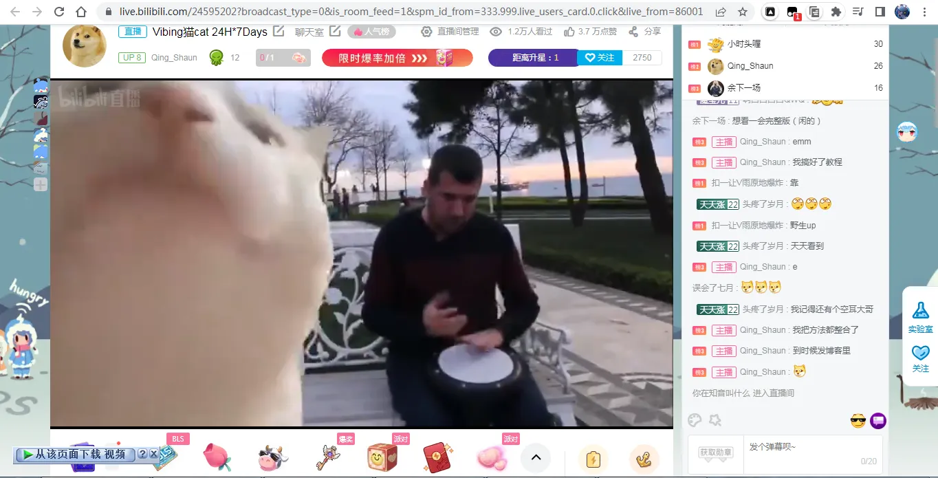 bili Live